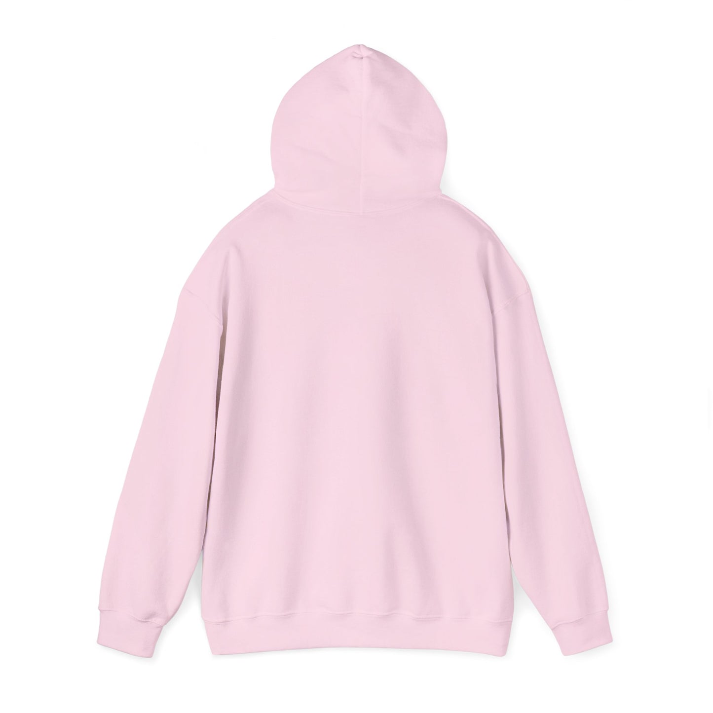 Official DLL Members Hoodie