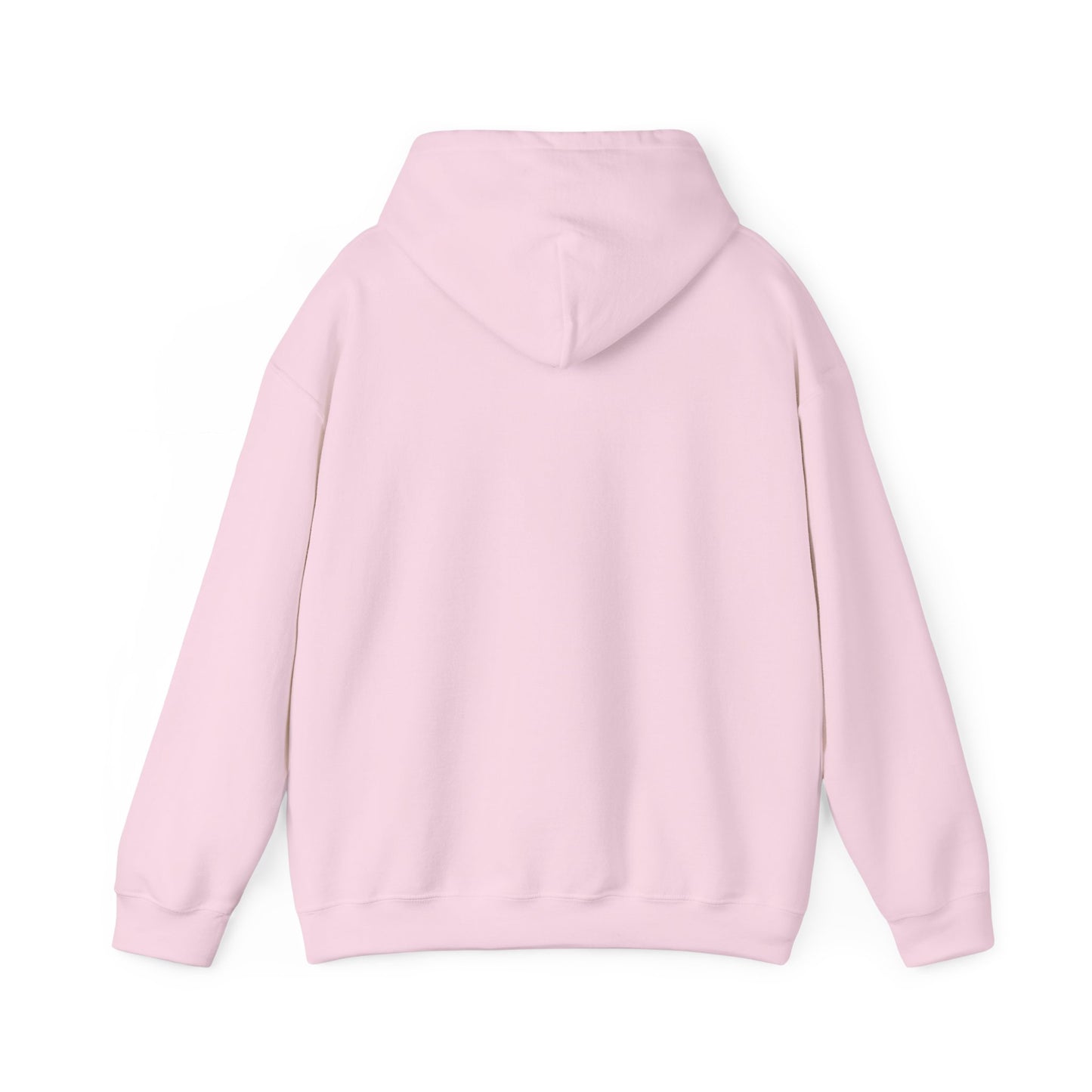 Official DLL Members Hoodie